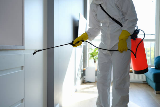 Trusted Springfield, KY Mold Removal Experts