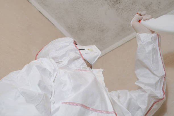 Water Damage Restoration in Springfield, KY
